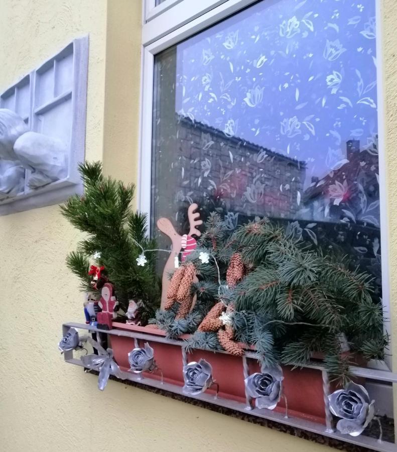 Usis_Ferienwohnung Im Harz Кведлинбург Экстерьер фото